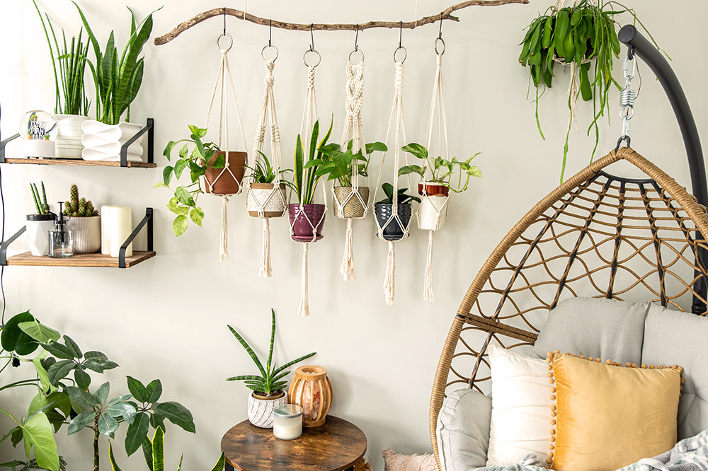 6 Stylish Ideas for Hanging Plants