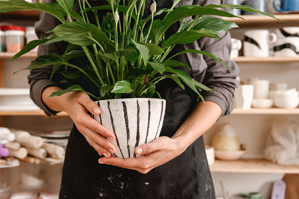 Pottery Trend Report: Cool & Unique Plant Pots For 2021