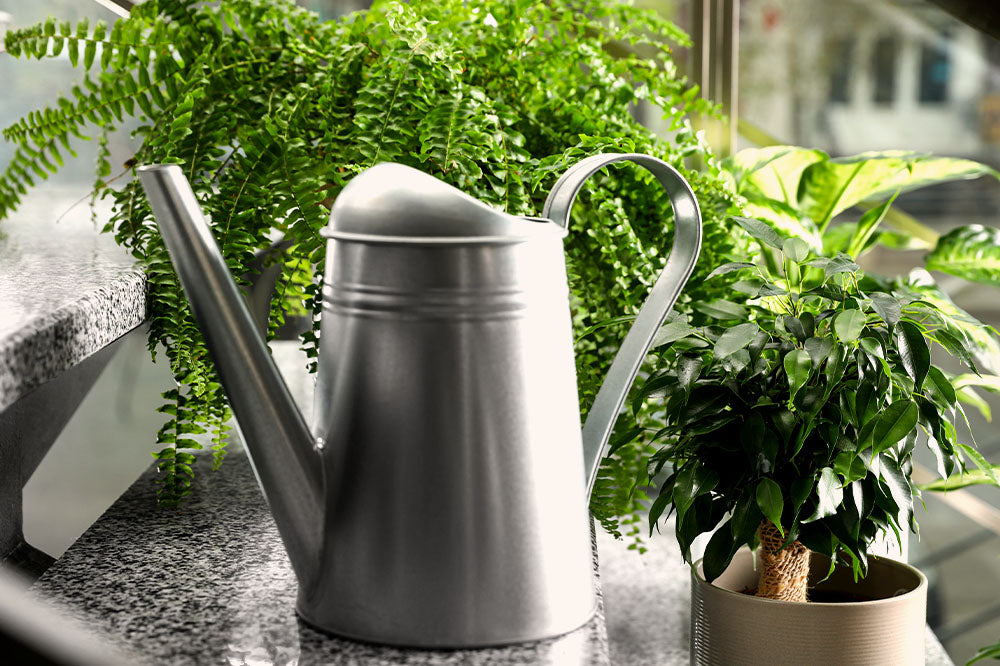Plant Decor Shop - watering can and houseplants