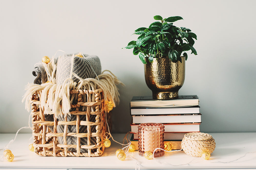 How to Integrate Plants Into Your Holiday Decor